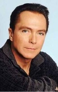 David Cassidy - wallpapers.
