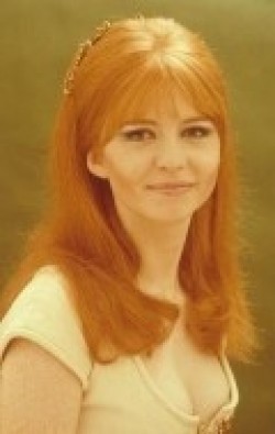 Jane Asher - wallpapers.