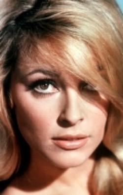 Recent Sharon Tate pictures.