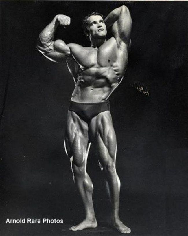 Photo №65094 Arnold Schwarzenegger.