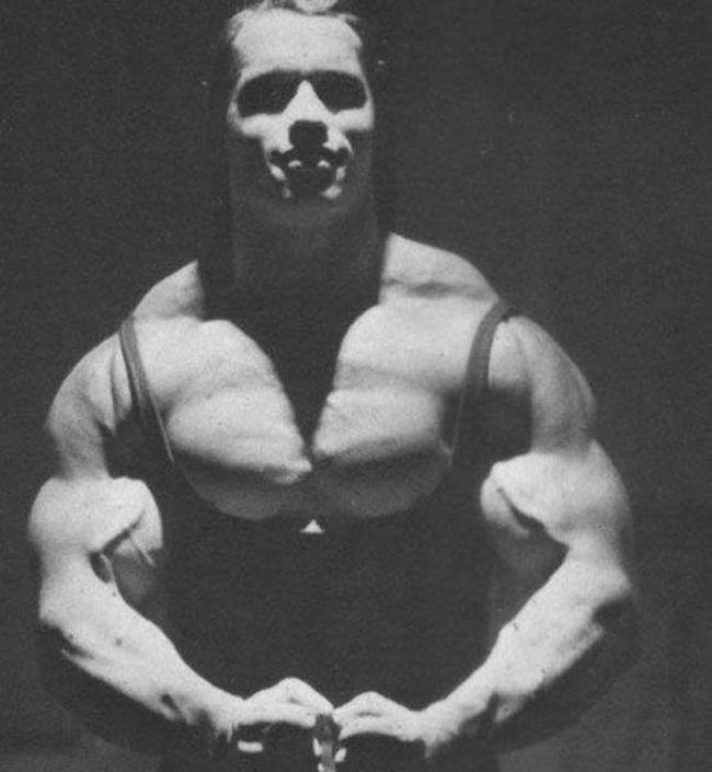 Photo №65087 Arnold Schwarzenegger.