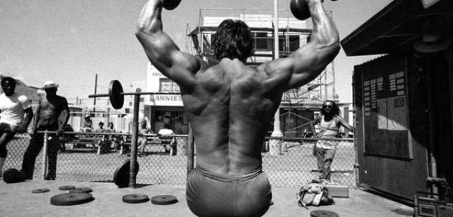 Photo №65098 Arnold Schwarzenegger.