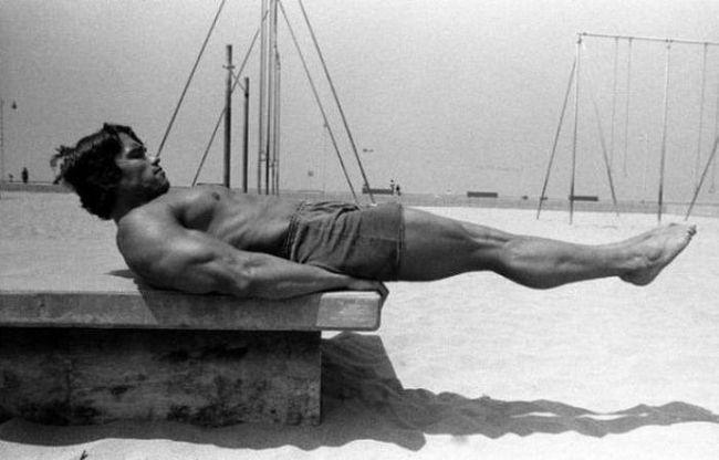 Photo №65109 Arnold Schwarzenegger.