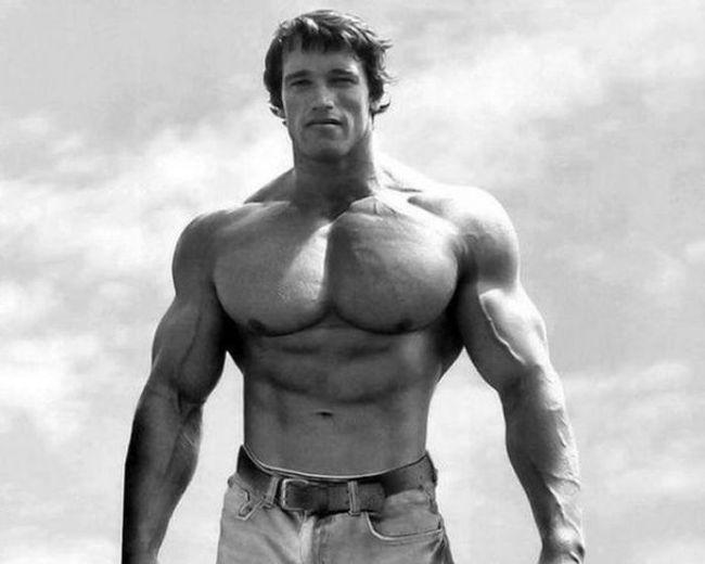 Photo №65112 Arnold Schwarzenegger.