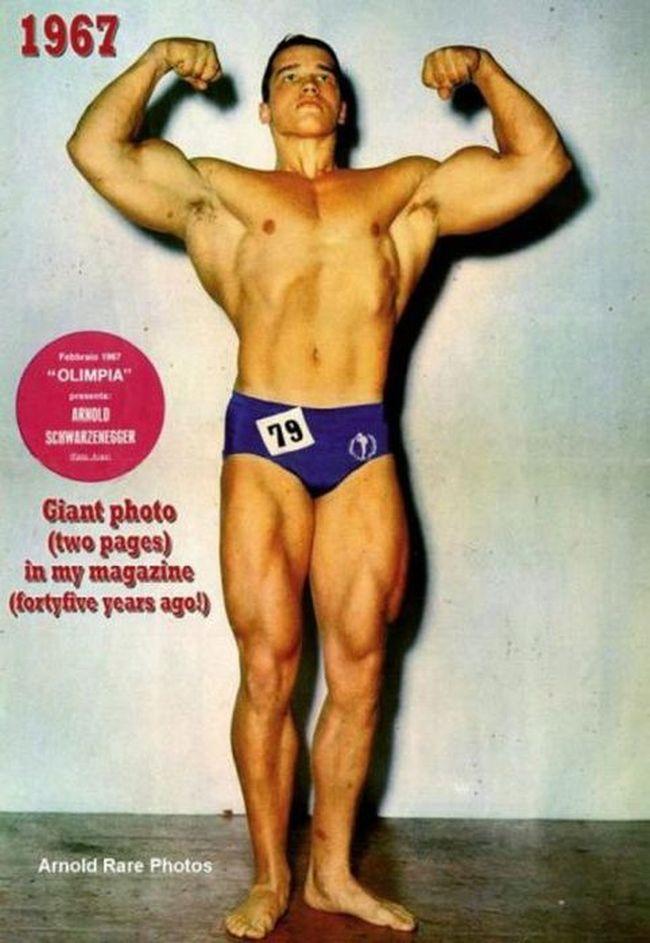 Photo №65097 Arnold Schwarzenegger.