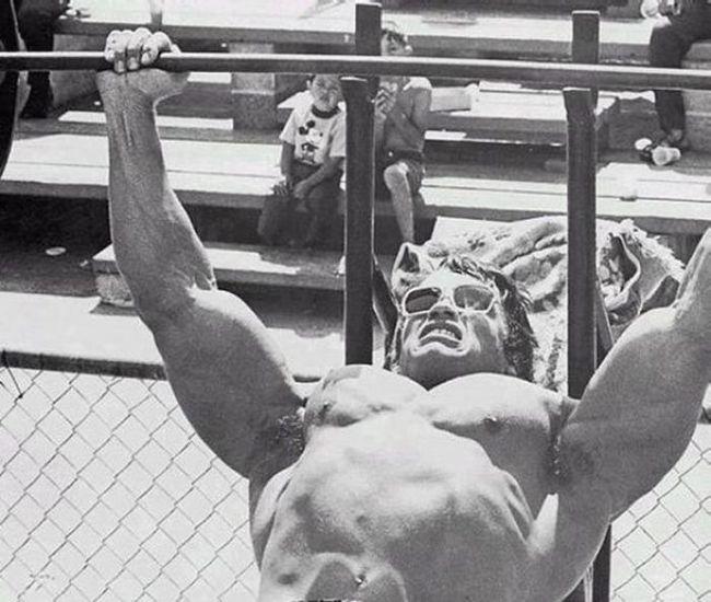 Photo №65118 Arnold Schwarzenegger.