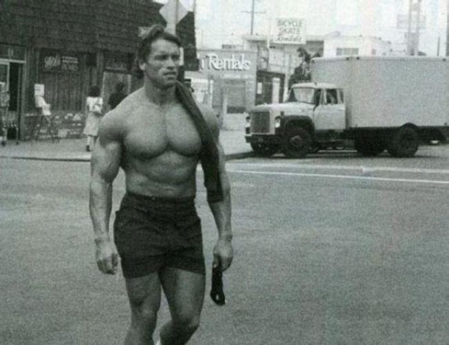 Photo №65100 Arnold Schwarzenegger.