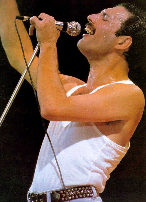 Photo №14505 Freddie Mercury.