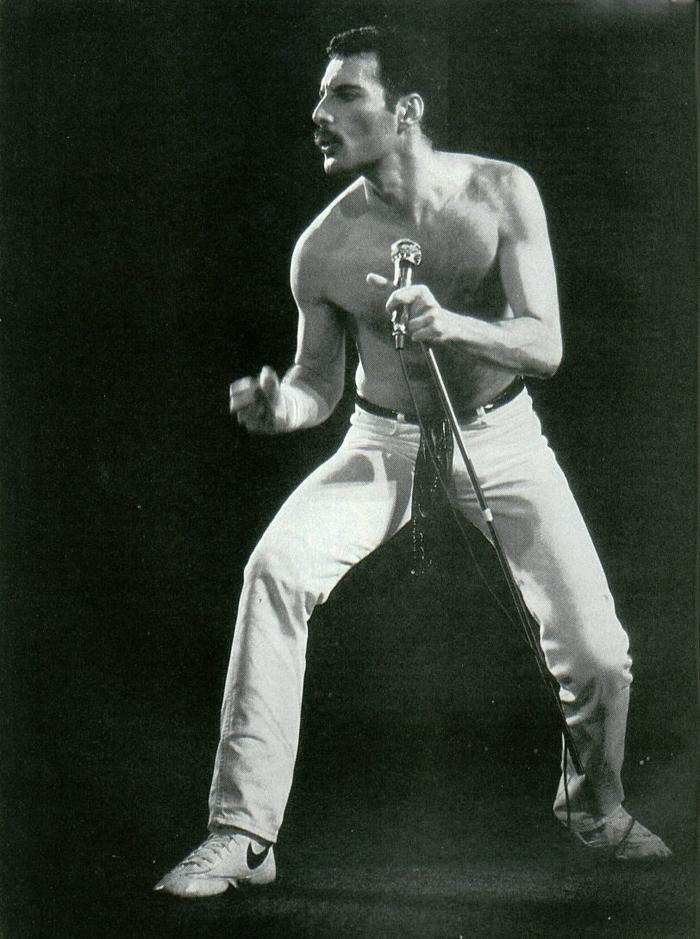 Photo №14506 Freddie Mercury.