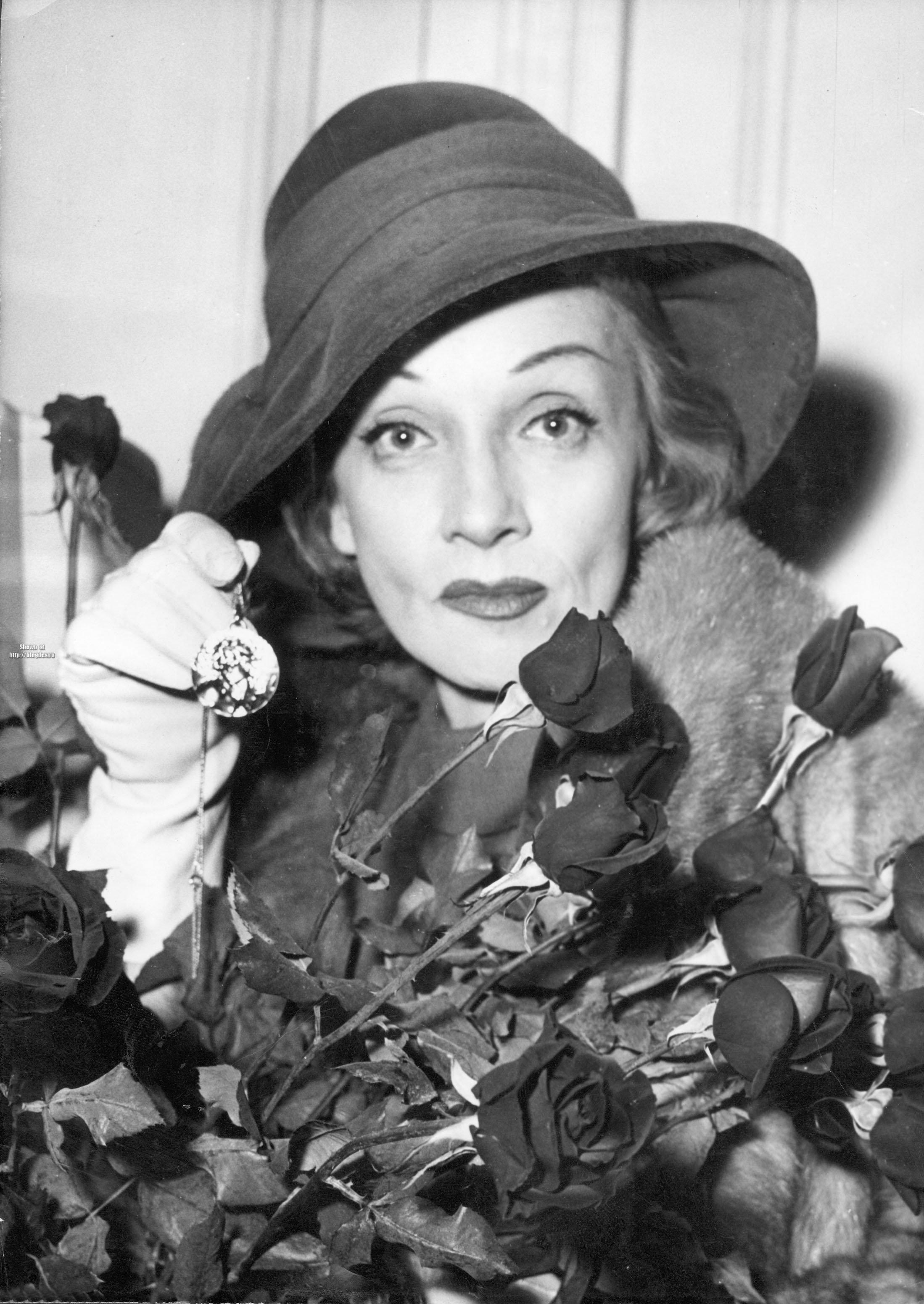 Photo №49931 Marlene Dietrich.