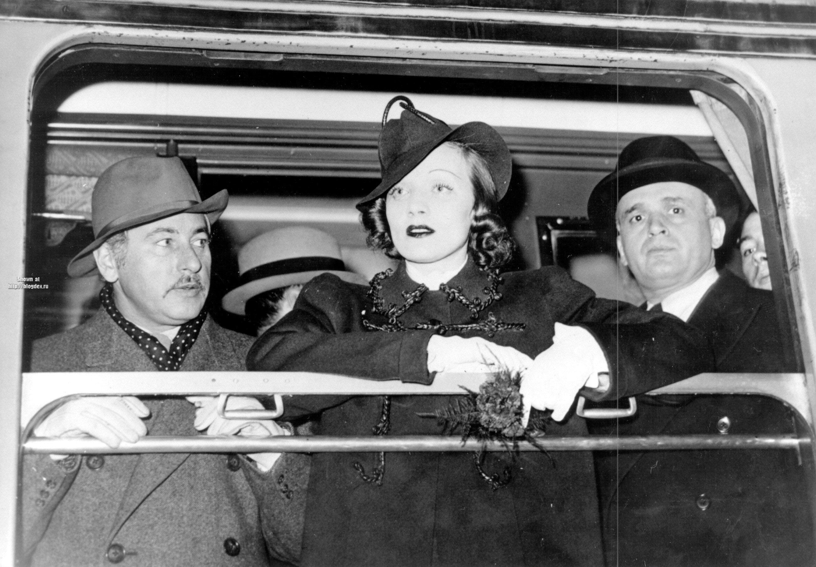 Photo №49917 Marlene Dietrich.