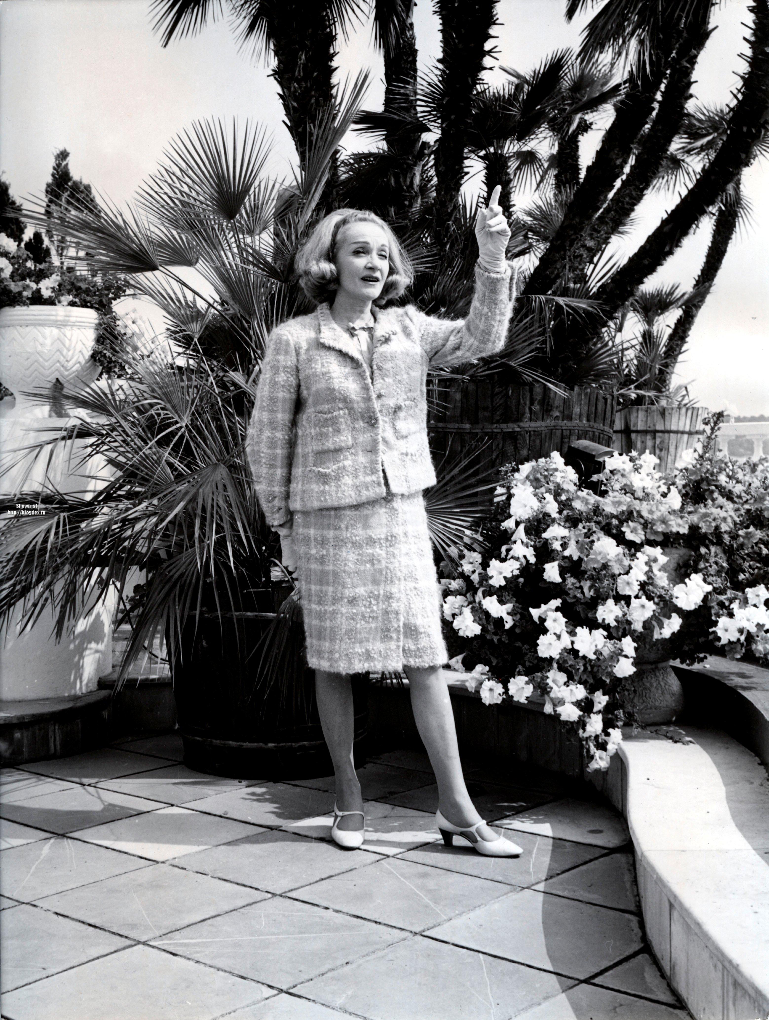 Photo №49916 Marlene Dietrich.