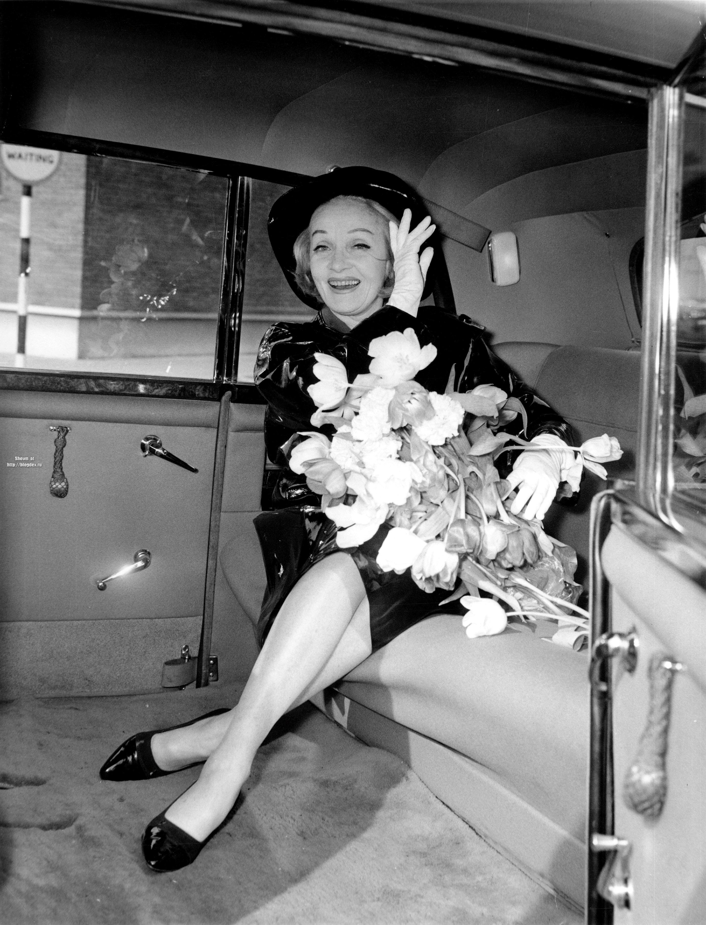 Photo №49870 Marlene Dietrich.