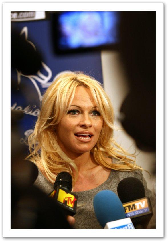 Photo №50157 Pamela Anderson.