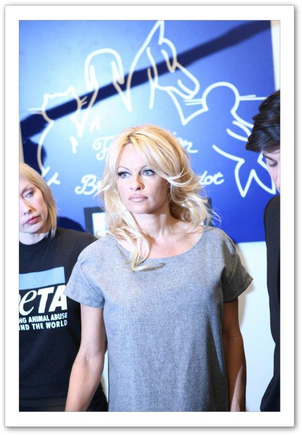 Photo №50159 Pamela Anderson.