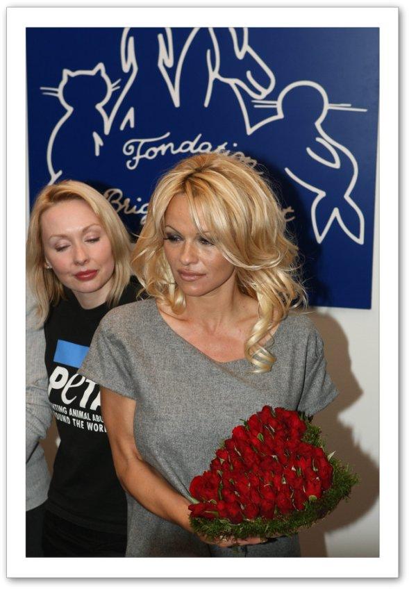 Photo №50156 Pamela Anderson.