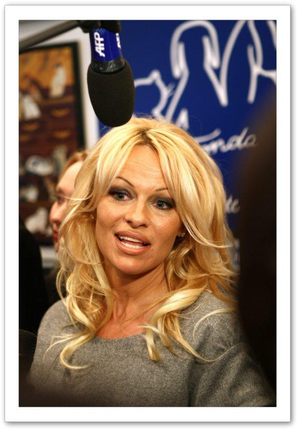 Photo №50158 Pamela Anderson.