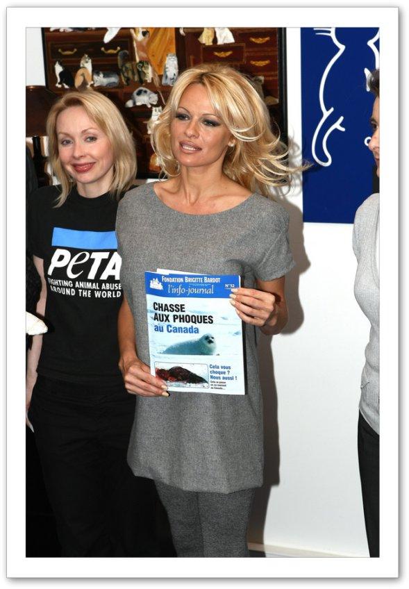Photo №50152 Pamela Anderson.