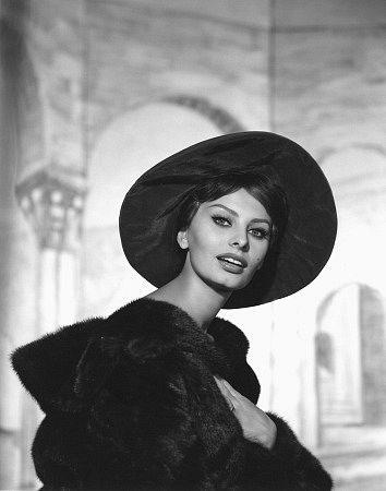 Photo №1719 Sophia Loren.