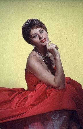 Photo №1726 Sophia Loren.