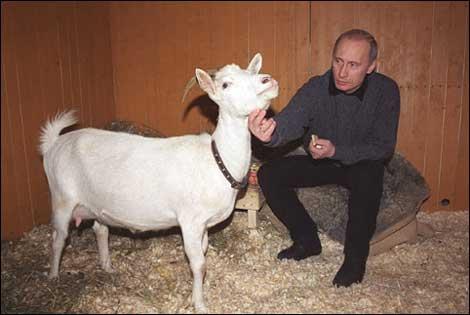 Photo №16769 Vladimir Putin.