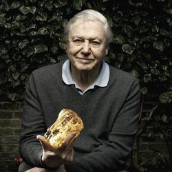 Recent David Attenborough photos