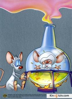 A Pinky & the Brain Christmas Special picture