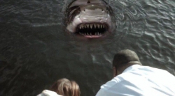 Zombie Shark picture
