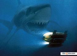 Sharkwater picture