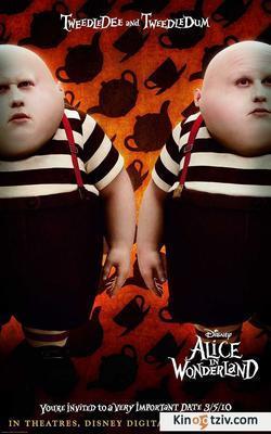 Alice & Alice picture