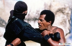 American Ninja 2: The Confrontation picture