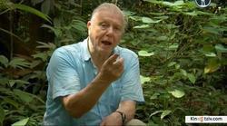 Attenborough: 60 Years in the Wild picture