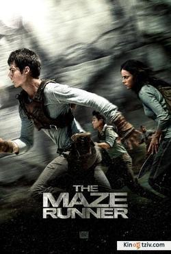 The Maze Runner picture