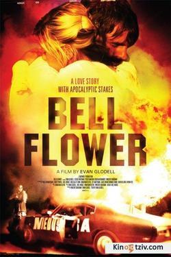 Bellflower picture