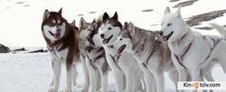 Eight Below picture