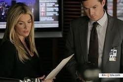Without a Trace picture