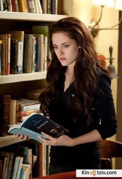 Breaking Dawn picture