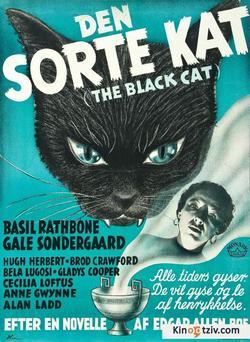 Il gatto nero picture