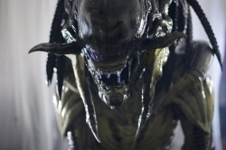 AVPR: Aliens vs Predator - Requiem picture
