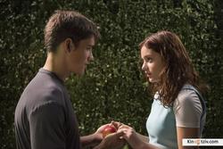 The Giver picture