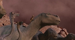 Dinosaur picture