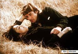 Days of Heaven picture
