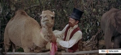 Doctor Dolittle picture