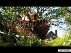 Treehouse Masters picture