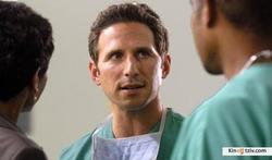 Royal Pains picture