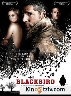 The Blackbird picture