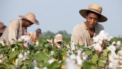 12 Years a Slave picture