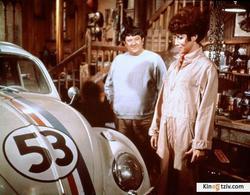 The Love Bug picture
