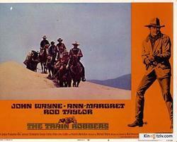 The Train Robbers picture