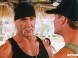Thunder in Paradise picture